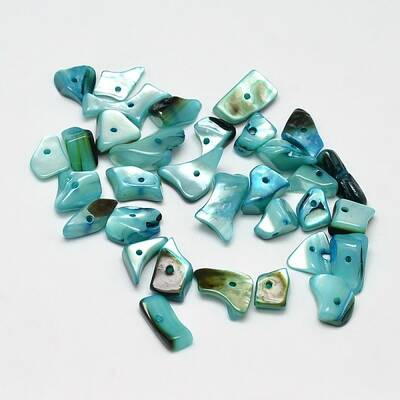 Dyed Natural Shell Nuggets Chips Beads
