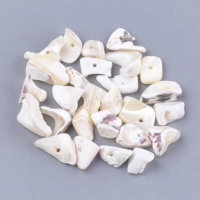 Sea Shell Beads