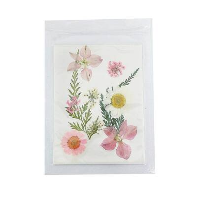 Pressed Dried Flowers