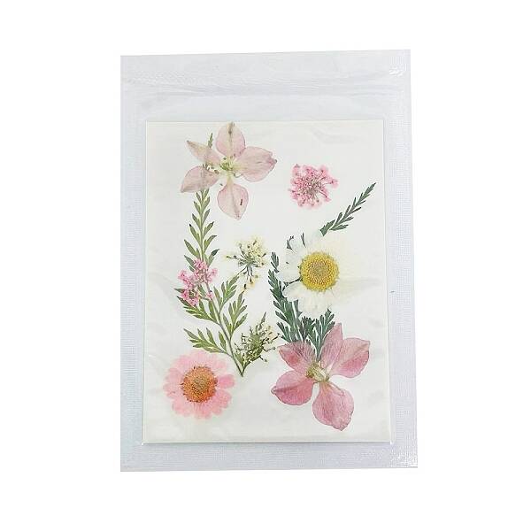 Pressed Dried Flowers