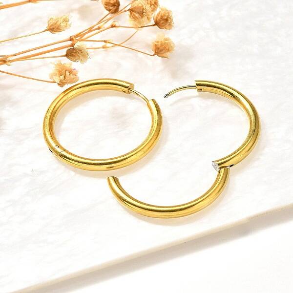 304 Stainless Steel Hoop Earrings for Women
