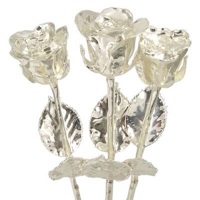 3 Past, Present and Future 14 Silver Dipped Roses