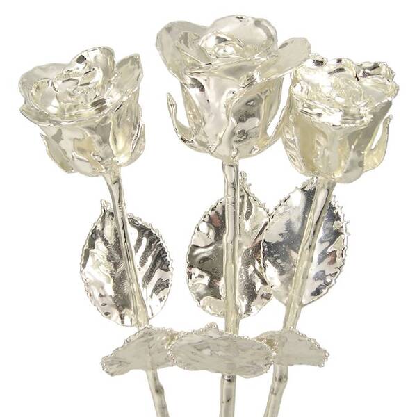 3 Past, Present and Future 14 Silver Dipped Roses