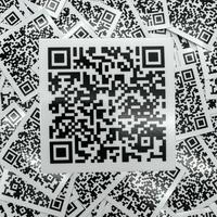 Show Me Them Ts Sticker!