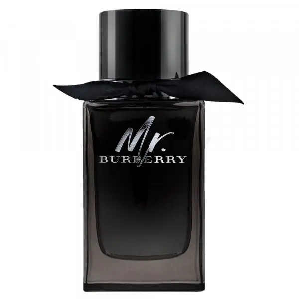 Burberry Mr. Burberry Eau de parfum for men 150 ml