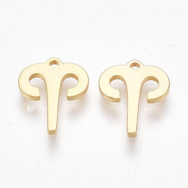 Ion Plating(IP) 304 Stainless Steel Charms