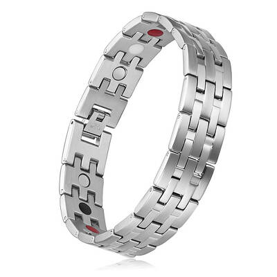 Stainless Steel Panther Chain Watch Band Bracelets