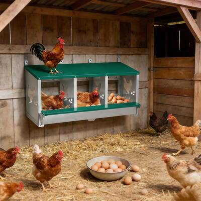 Garvee 3-Compartment Galvanized Metal Chicken Nesting Box – Wall Mounted or Freestanding Laying System for Hens, Chickens, ...