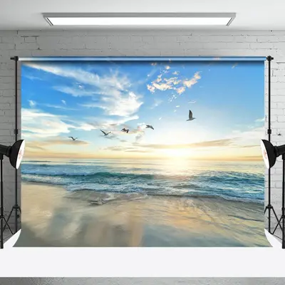 Blue Sky Sunset Seagull Beach Photography Backdrop - Aperturee