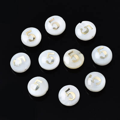 Natural Freshwater Shell Beads