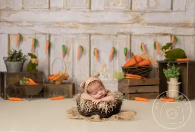 Aperturee Carrot Newborn Easter Spring Vintage Rustic Photography Backdrop