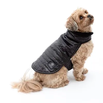AKC Belly Band Dog Puff Coat - Red - L