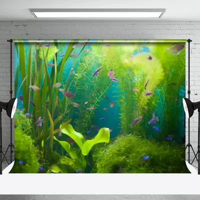 Green Seaweeds Lovely Fishes Summer Photo Backdrop - Aperturee