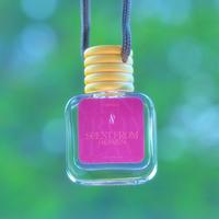 CANVAS Beauty Car Diffuser (Pick Your Scent)