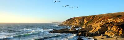 Bodega Head: Spectacular Wild Surf, Ancient Wanderers, Whales and Wonders