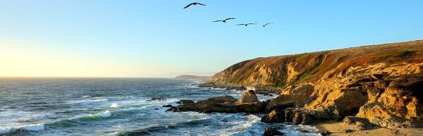 Bodega Head: Spectacular Wild Surf, Ancient Wanderers, Whales and Wonders
