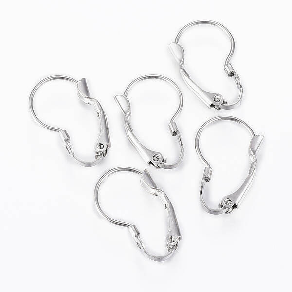 Tarnish Resistant 304 Stainless Steel Leverback Earring Findings