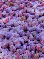 Sour Kings Candy - Grape Sour Gusher Bursts - Viral Sour Candy Snack