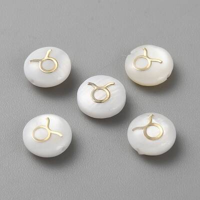 5Pcs Natural Freshwater Shell Beads