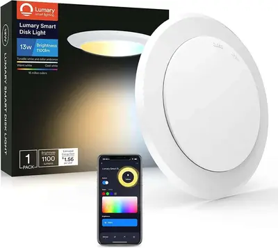 Lumary Wi-Fi Smart LED Disk Ceiling Light 13W 5/6 inch (Model B)