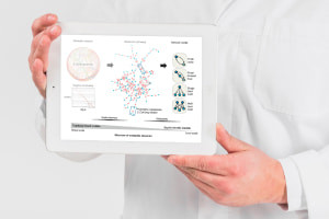 Metabolic Network Analysis