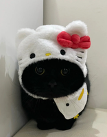 Multiple Accessory & Item/s Listing