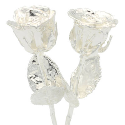 His and Her 8 Silver Dipped Roses