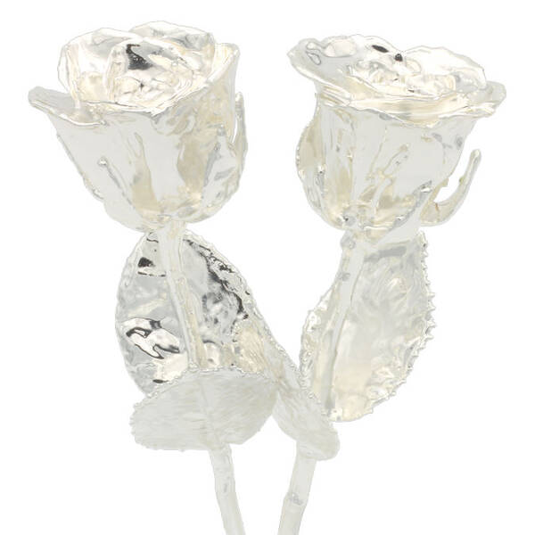 His and Her 8 Silver Dipped Roses