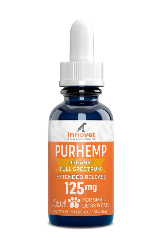Hemp Oil for Pets