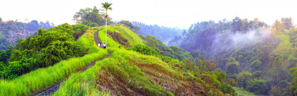 Uncovering Ubud: Stories and Scenery Along Campuhan Ridge Walk