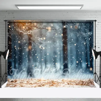 Forest Snow Winter Bokeh Backdrop For Photo Studio - Aperturee