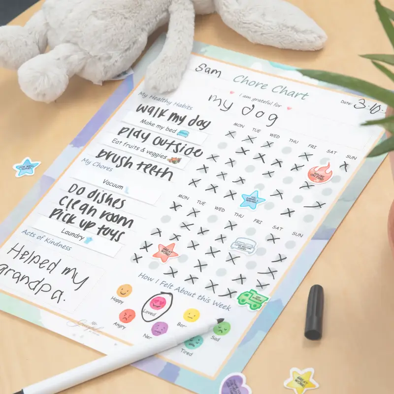 Flexible Stick Weekly Chore Chart and Emotion Tracker for Kids - For Any Flat Surface