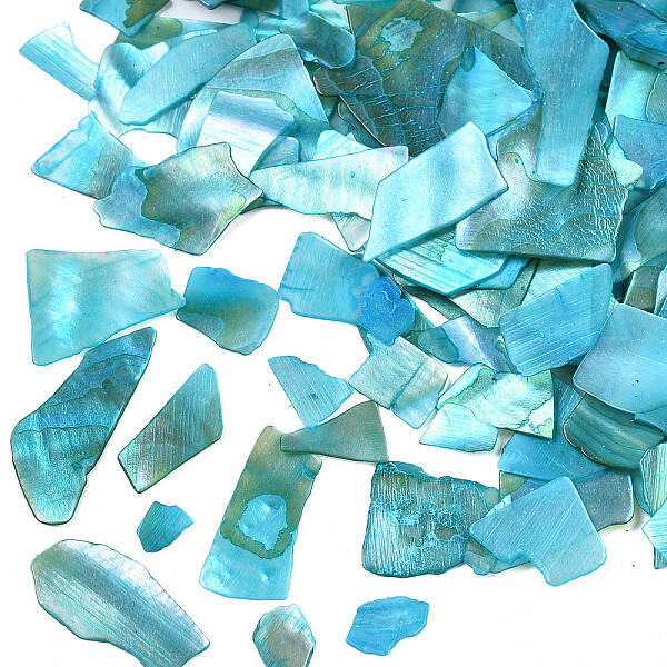 Natural Abalone/Paua Shell Mica Fragment