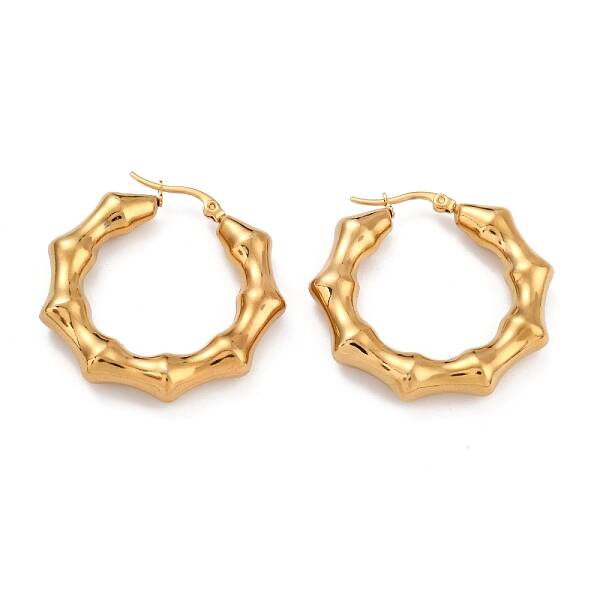Ion Plating(IP) 304 Stainless Steel Hoop Earrings