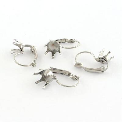 304 Stainless Steel Leverback Earring Findings