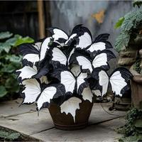 800+ Hosta Seeds for Planting Perennial Shade-Loving Ground Cover That Thrives with Minimal Water