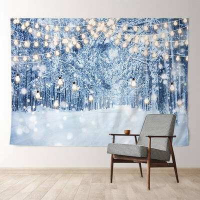 Aperturee Light Snowy Trees Frozen World Winter Backdrop