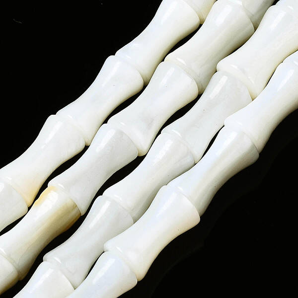 Natural Freshwater Shell Beads Strands