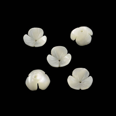 Flower Natural Trochid Shell/Trochus Shell Beads