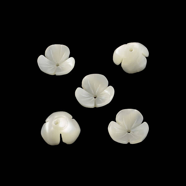 Flower Natural Trochid Shell/Trochus Shell Beads