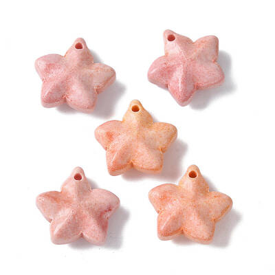 Natural Rainbow Alashan Agate Charms