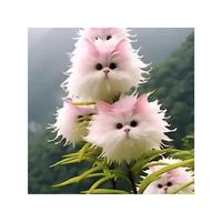 100 White Cloud Moth Flower Seeds Cat Face Orchid Monkey Face Orchid Planting Fun, Suitable For Home Or Garden, Limited Suppl...