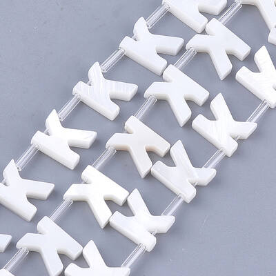 Natural Freshwater Shell Beads