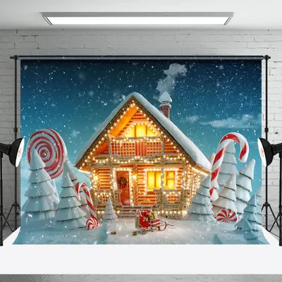 Aperturee Snowy Field Light Glitter House Christmas Backdrop - Aperturee