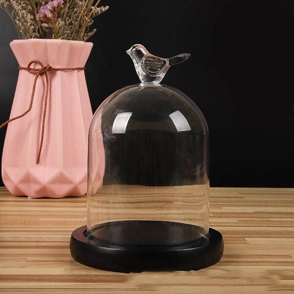 Bird Shaped Top Clear Glass Dome Cover