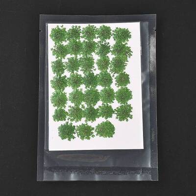Pressed Dried Flowers