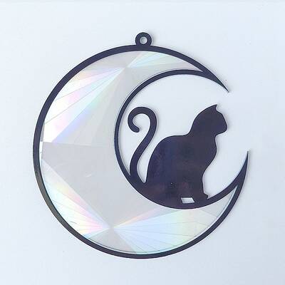 Acrylic Big Pendant