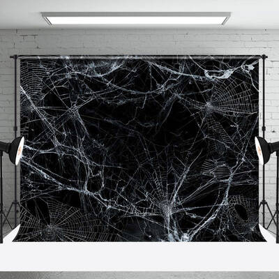 Shabby Black White Spider Web Halloween Backdrop
