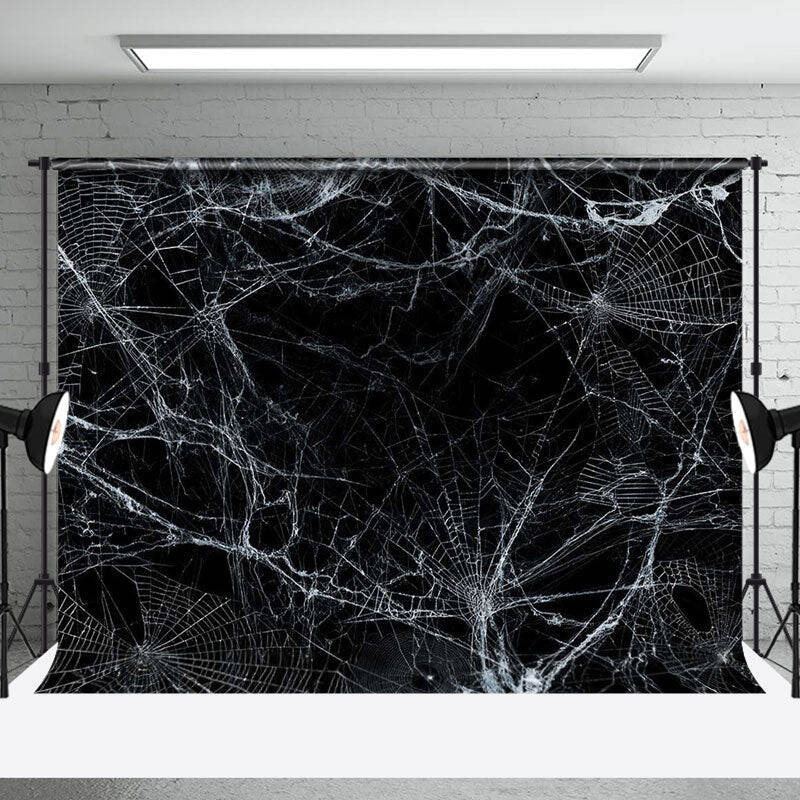Shabby Black White Spider Web Halloween Backdrop