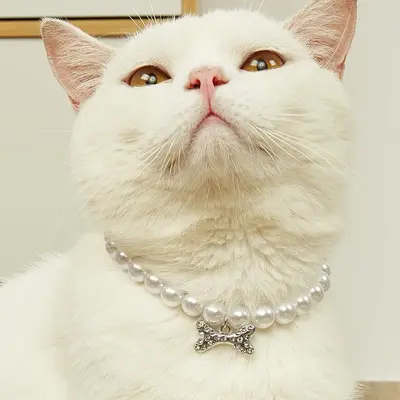 Faux Pearl Bone Pendant Pet Decoration Necklace, 1 Count Elegant Rhinestone Decor Pet Necklace, Decorative Cat Collar for Sma...